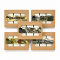 All five Republic Collection wax melt boxes fanned out on a white background: Homestead, 1845, Saddle & Satin, Cactus Flower, and Rio Bravo in kraft window boxes