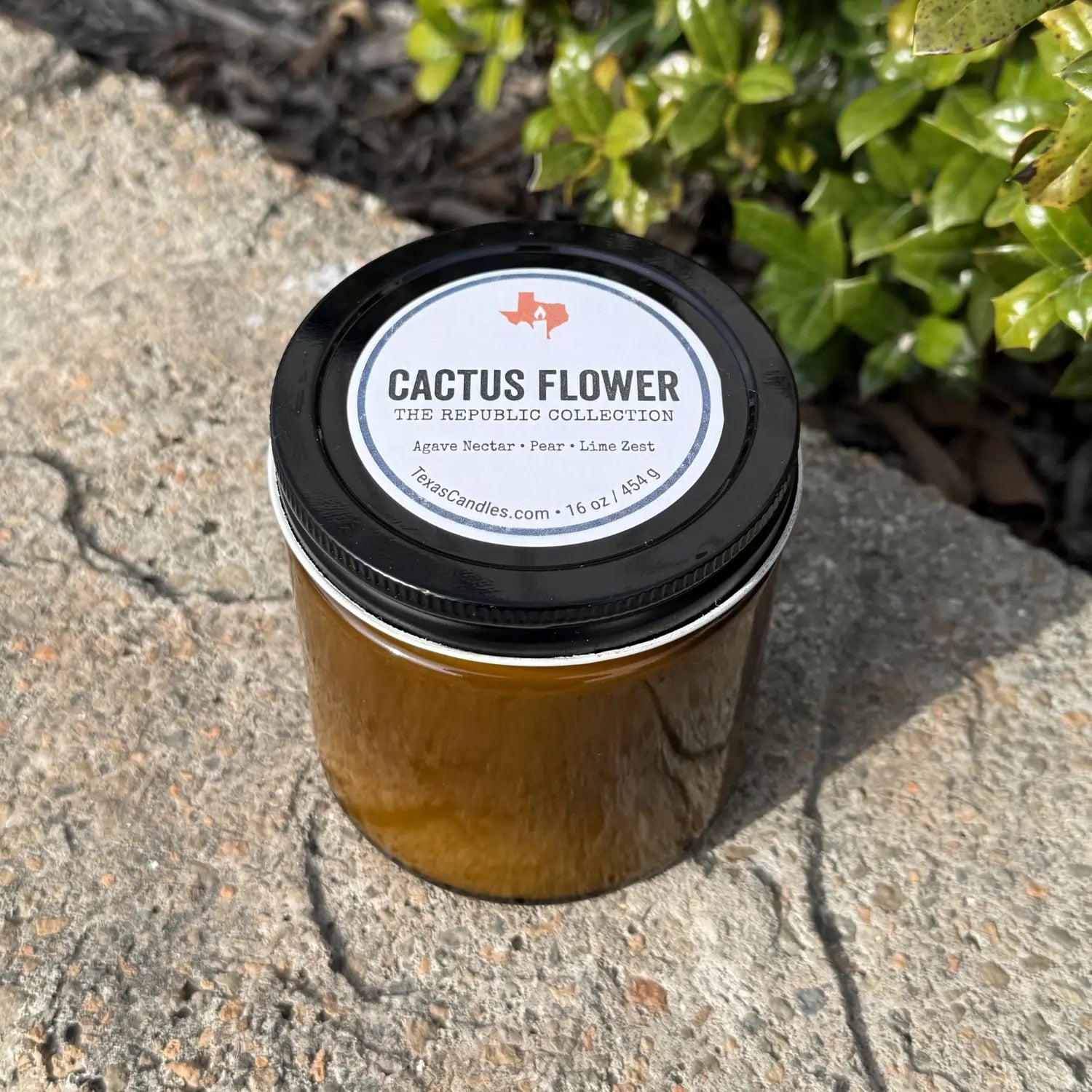 Cactus Flower 16oz
